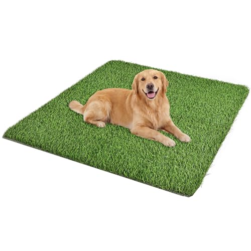 whitefeather Artificial Grass for Dogs Potty – Indoor Dog Pee Pad with Non-Slip White Rubber Base, Easy Clean Fake Grass for Small Dogs, DIY Cuttable Turf for Apartments (2'*3') - size: 2'*3'