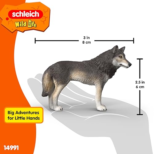 Schleich Wild Life - American Wolf Toy Figurine - Kids Ages 3+ | 14991 | Wild Animal Figurine, Realistic Animal Toys, Safari Toy for Boys and Girls, Screen-Free Imaginative Pretend Play, Montessori - style: American Wolf