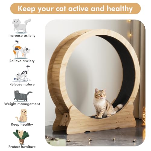 Mondeer 46'' Cat Wheel with Carpet Track and Teaser, Natural Wood | Cat Exercise Wheel, 46'' XL Treadmill with Carpeted Runway, Removable Carpet and Teaser, for Indoor Cats Running and Walking. - color: Natural Wood, size: 43.3
