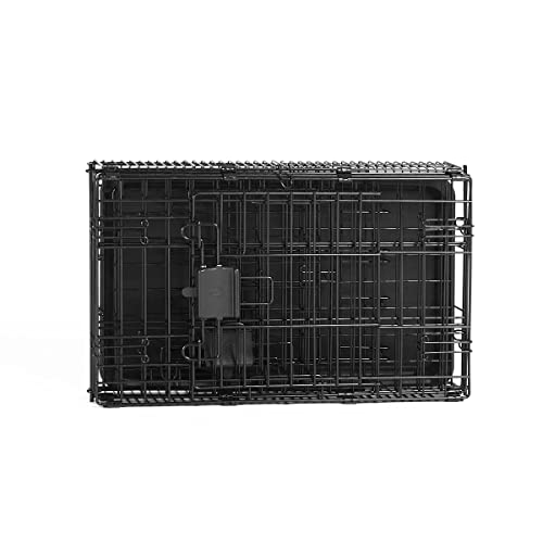 Amazon Basics Portable, Foldable Metal Wire Dog Crate with Removable Tray, Double Door, Divider Panel, Easy to Assemble, 22 x 13 x 16 in, Black - size: 22.0"L x 13.0"W x 16.0"H, style: Double Door w/ Divider