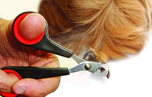 Lixit® Grooming Kits For Rabbits, Guinea Pigs and other Small Animals (Red, Brush and Clipper Set) - size: 2 Piece Kit