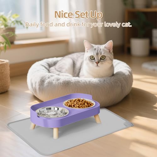 Elevated Cat Bowl with Food Mat, Raised Cat Food and Water Bowl Set for Indoor Cats, Splash Proof with 2 Stainless Steel Pet Food Bowls for Cat and Puppies,Whisker Fatigue and Dishwasher Safe (Purple) - color: Cat Bowls with mat - purple