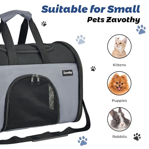 TSA Airline Approved Soft-Sided Pet Carrier for Small to Medium Cats and Puppies, Up to 15 Lbs – Collapsible Travel Carrier for Dogs & Cats, Grey