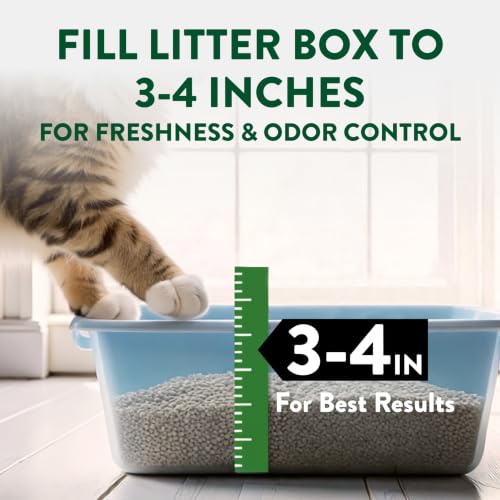 ARM & Hammer Plant Power Plant-Based Clumping Cat Litter, Unscented 15 Lbs | Lightweight, Multi-Cat Homes, Highly Absorbent Natural Grain Formula, 14-Day Odor Control