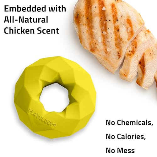 Playology Channel Ring Dog Chew Toy for Large Dogs - Jumbo, Chicken Scent | Large Breeds, Moderate Chewers, Indoor Outdoor Use, Easy Rinse Clean