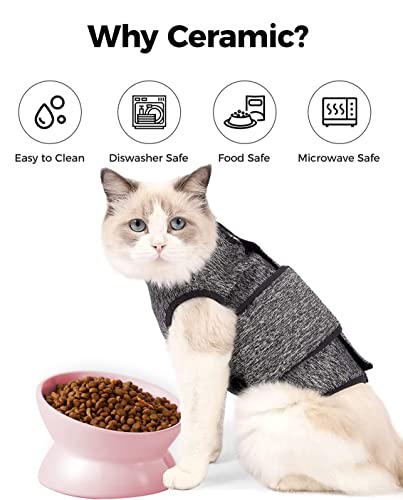 LoeJan Elevated Cat Food Bowl, 5 Oz Ceramic Raised and Tilted Water Bowl, Anti Vomiting and Protect Pets' Spines Dishes for Small Dog, Fat Faced Cat, Kitten (Pink, 1 Pack) - color: Pink
