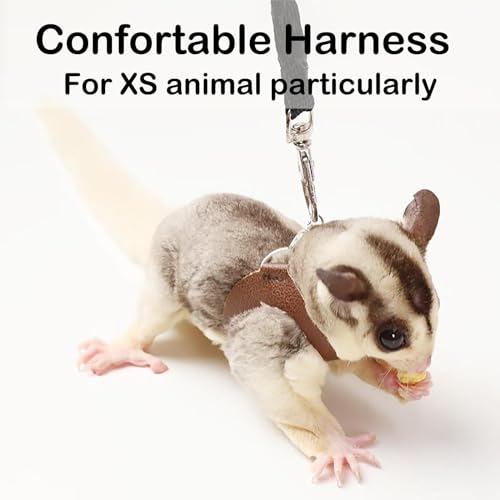 3 Pack Sugar Glider Harness and Leash Set Small Animal Training Walking Vest for Squirrel Hamster Rat-Black - color: Black