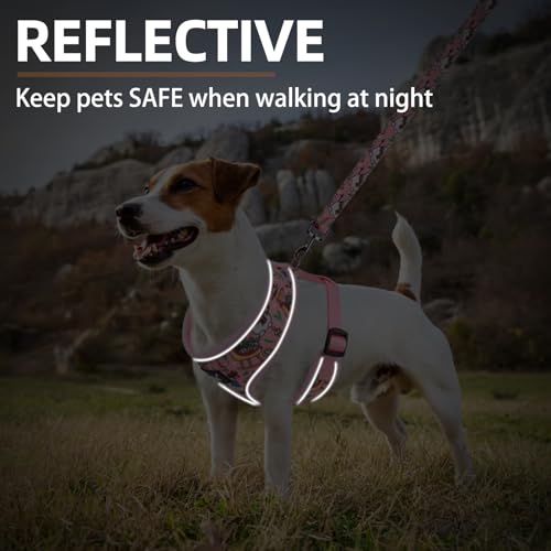 PUPTECK Soft Mesh Christmas Dog Harness and Leash Set Pet Puppy Cat Comfort Padded Vest No Pull Harnesses, Bright Pink, S - color: Pink (Snowmen), size: S (NECK: 12", CHEST: 14"-18")