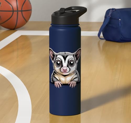 Sugar Glider Cute Peeking Marsupial Funny Animals Stainless Steel Insulated Water Bottle - color: Navy Blue