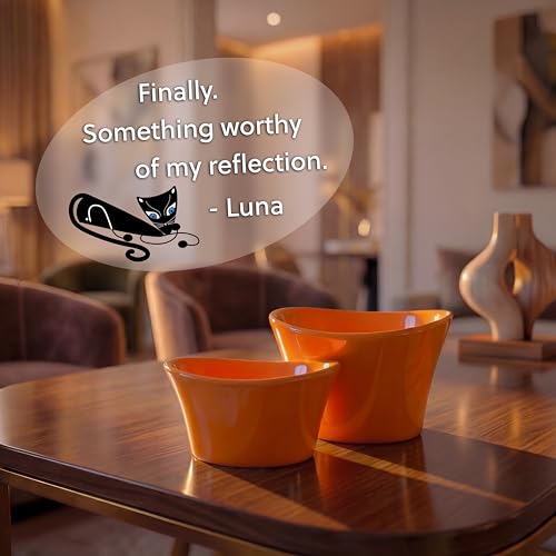 Elevated Cat Bowls for Water – Whisker & Neck Fatigue Shallow Cat Dishes – Raised Bowl for Indoor Cats – Vet-Recommended Height, Food-Grade Melamine – Non-Slip & Dishwasher-Safe – 8 oz Orange - color: Orange