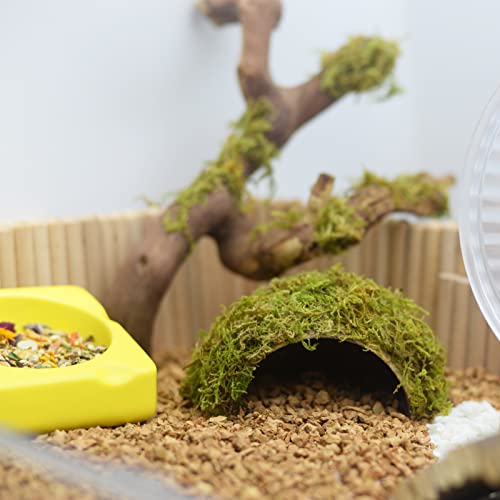 Hamster Hideaway/Hideout,Mossy Cave Hide,Hamster House/Hides,Hamster Cage Accessories for Gguinea Pig/Hedgehogs/Gliders/Rats/Mice and Other Small Animals(Set) - size: Cave, Set