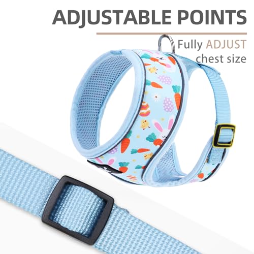 PUPTECK Soft Mesh Dog Harness and Leash Set Pet Puppy Cat Comfort Padded Vest No Pull Harnesses, Easter Blue, S - color: Baby Blue, size: S (NECK: 12", CHEST: 14"-18")