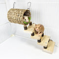 Hamiledyi Hamster Climbing Toys Wood Hanging Hammock Ladder Set Toys Cage Accessories for Syrian Hamster Gerbil Mice