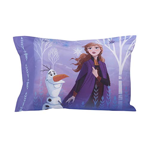 Disney Frozen II 4pc Toddler Set - color: Disney Frozen 2 Traveling North
