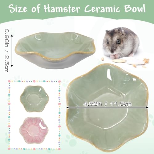 BNOSDM Shallow Ceramic Hamster Food Dish 2 Pcs Small Animals Food Bowl Lotus Feeding Dishes for Gerbils Mice Rats 4.5in (Green) - color: Green Lotus