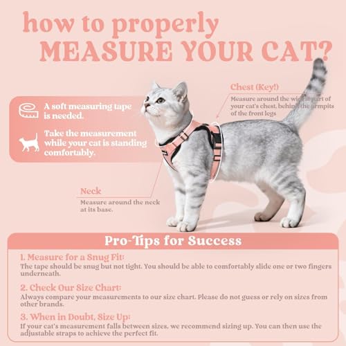 rabbitgoo Cat Harness and Leash Set, Escape Proof Vest, Light Salmon Pink | Soft Breathable Mesh, Easy Adjustable Fit, Snap Buckles, Sturdy Clip, Reflective Strips, for Kittens & Small Cats Walks, Xxs - color: Light Salmon Pink, size: Xxs