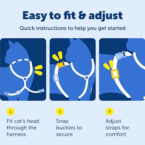 PetSafe Come with Me Kitty Harness and Bungee Cat Leash, Royal Blue, Medium | Adjustable 2-Point Fit Applies Gentle Pressure to Shoulders, Not Neck, for Small & Average Cats with 10.5 in - 14 in Girth - color: Royal Blue, size: Medium (Pack of 1)