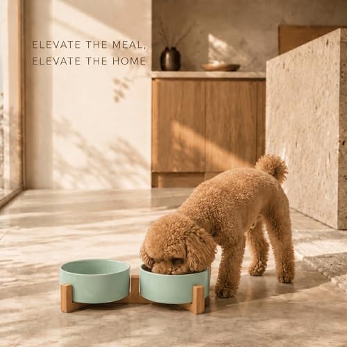 SPUNKYJUNKY Ceramic Dog and Cat Bowl Set with Wooden Stand, Modern Cute Weighted Food Water Set for Small Size Dogs (13.5OZ) & Medium Sized Dogs (28.7OZ) & Cats (1.7 Cups, 2 × Morandi Green) - color: Morandi Green × 2, size: 1.7 cups