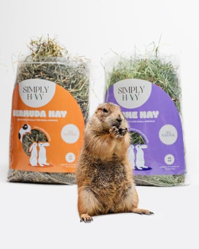 Bermuda Hay – High-Fiber, Low-Calcium Coastal Grass for Rabbits, Guinea Pigs & Small Pets – All-Natural, Hand-Packed, Timothy-Allergy Friendly (40 oz) - size: 2.5 Pound (Pack of 1)