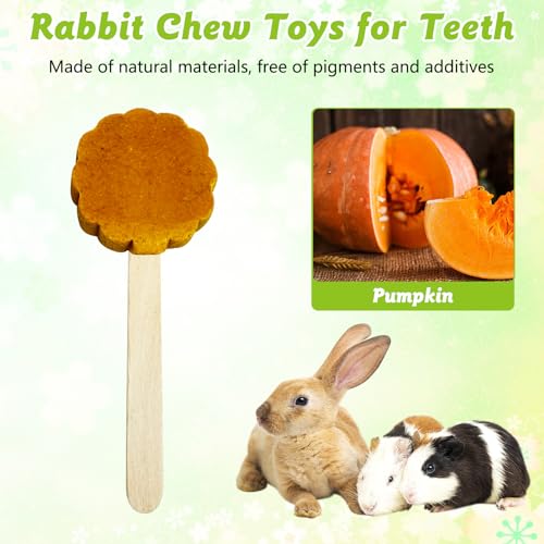 Hamiledyi Bunny Chew Toys for Teeth Natural Rabbit Lollipop Chewing Sticks Hamster Pumpkin Molar Toy Chews and Snacks for Guinea Pig Chinchilla Gerbil (Pumpkin,10Pcs)