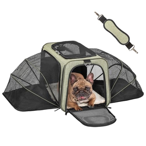 Petsfit Large Double Expandable Cat Carrier for Large Cats and Small Dogs | 19 x 12 x 12 in; dual-side expansion for large cats and small dogs, with anti-sag frame and locking zippers; up to 18 lb. - color: Green, size: 19"L x 12"W x 12"H