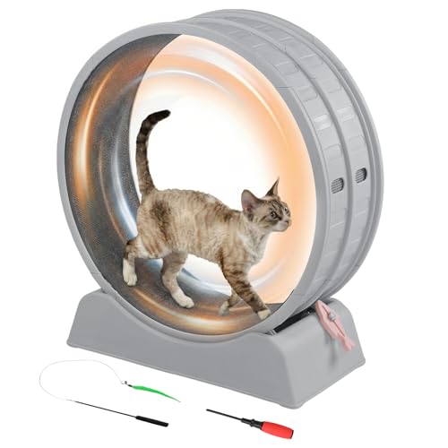 Cat Exercise Wheel for Indoor Cats, 31.5" Cat Treadmill with Detachable Carpet ＆ Locking Mechanism, Cats Running Wheel Helps Cats to Lose Weight and Keep Health, Easy Assembled (Gray)