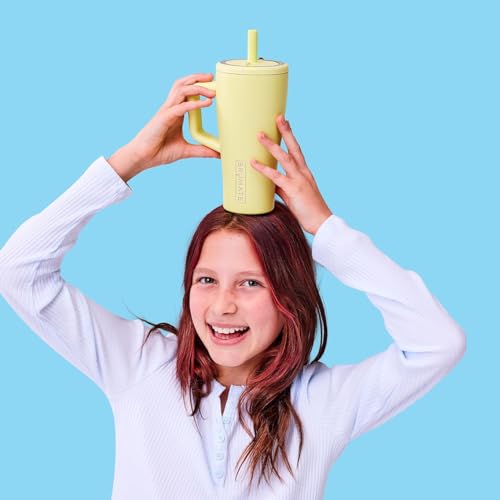 BrüMate Era 20 oz Tumbler with Handle and Straw | 100% Leakproof Insulated Tumbler with Lid and Straw | Made of Stainless Steel | Cup Holder Friendly Base | 20oz (Java) - color: Java, size: 20oz