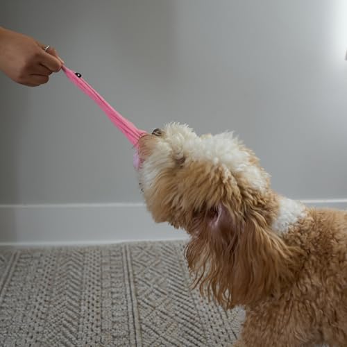 SPOT Skinneeez Flamingo 13 Inch Stuffing-Free Plush Squeaky Dog Toy – Soft Interactive Chew Toy for Small and Medium Dogs – Mess-Free Play for Light & Moderate Chewers - style: Mini Flamingo