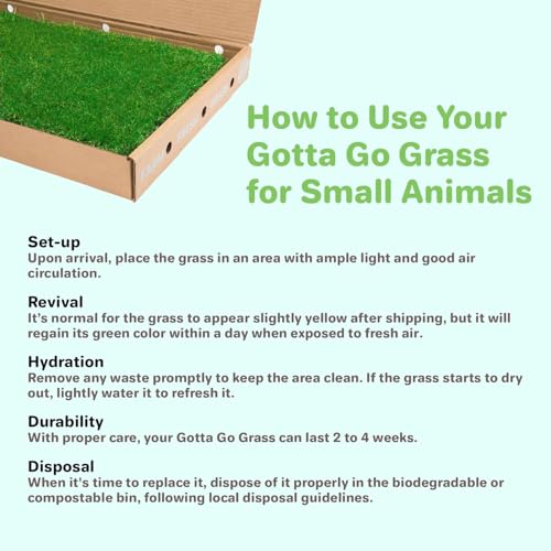 Gotta Go Grass for Small Animals – Natural Real Grass Bedding & Pet Resting Pad,Grass Potty Pad for Rabbits, Guinea Pigs, Hamsters, & Small Pets, Odor Absorbent Grass Mat (With Tray 2-Pack 16" x 24") - size: With Tray 2- Pack