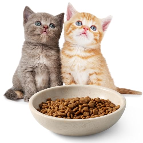 Karibiber Natural Marble Cat Bowl, Weighted 1.5lb Cat Food Bowl for Cat and Small Dog, Small Animal Pet Food Dish Non-Slip, Shallow Dish for Whisker Fatigue Relief, Premium Beige Stone for Home Decor - color: Beige