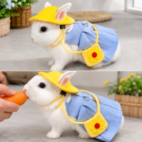 5PCS Bunny Outfit Harness Set with Leash Hat Bag and Plush Charm for Dwarf Rabbit Guinea Pig Chinchilla, Cute Blue Rabbit Clothes, S,7034-05 - color: Light Blue, size: S Fits 1.1-2.2lb Baby Bunny Guinea Pig Chinchilla