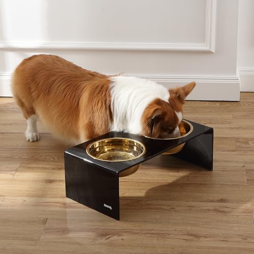 DBL2001B Keaton 7.5" Medium/Large Modern Lucite Rectangular Elevated Pet Feeder with 54oz 2-Stainless Steel Bowls, Black/Gold - color: Black/Gold, size: 54 Ounces (7.5" Cups 2-Pack)
