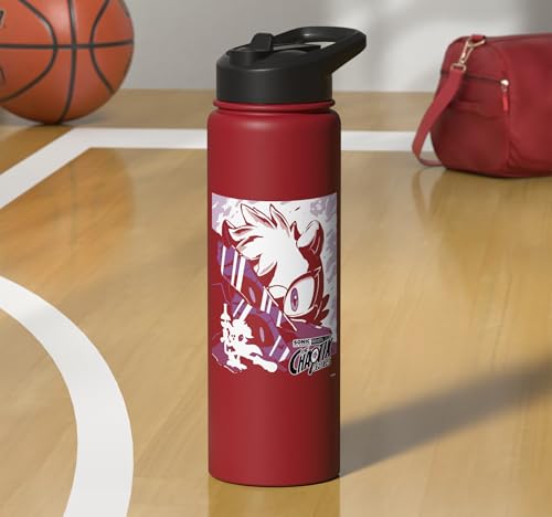 Sonic the Hedgehog Chaotix Casefiles Episode 3 Stainless Steel Insulated Water Bottle - color: Red