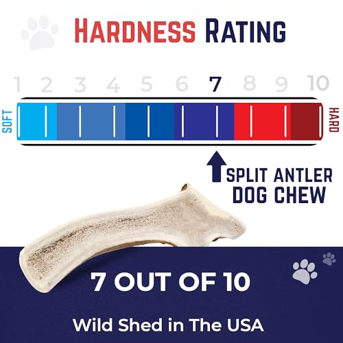 Devil Dog Pet Co Split Elk Antlers for Dogs, Small 2 Pack, Long Lasting | Naturally shed Grade A elk antler split for marrow access, single ingredient, 7/10 hardness, 4 in+, up to 20 lb - style: split - Small - 2 Pack