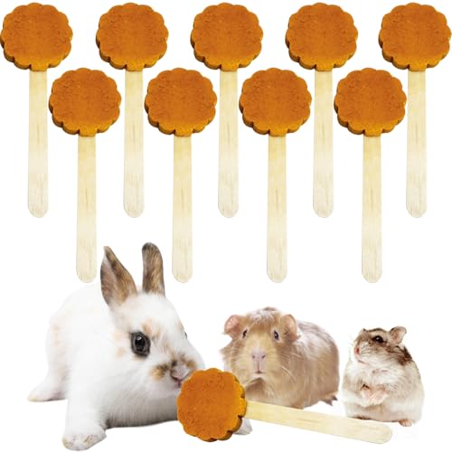 Hamiledyi Bunny Chew Toys for Teeth Natural Rabbit Lollipop Chewing Sticks Hamster Pumpkin Molar Toy Chews and Snacks for Guinea Pig Chinchilla Gerbil (Pumpkin,10Pcs)