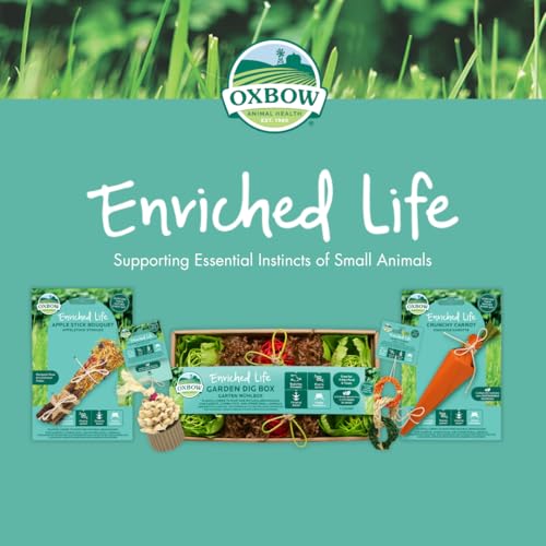 Oxbow Enriched Life Hanging Sunflower Chew Small animal enrichment chew toy - style: Sunflower Chew