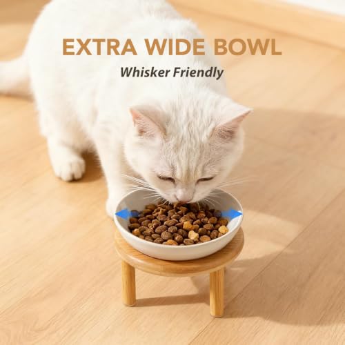 Havniva Elevated Cat Bowls, Ceramic Cat Bowl with Bamboo Stand Wide Opening | 5.7” Raised Cat Food Bowls, Whisker Friendly Cat Dish, Anti-Slip Cat Water Bowls, Shallow Cat Bowls, Cat Food & Water Bowl - color: White