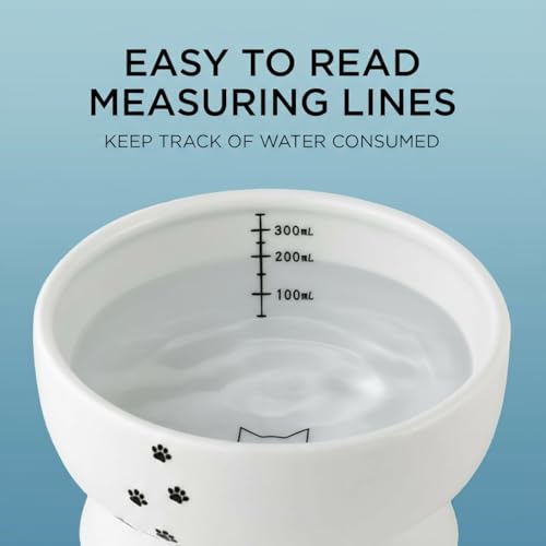 Necoichi Ceramic Elevated Cat Water Bowl, Whisker-Friendly (Cat, Regular) - color: Cat, size: Regular