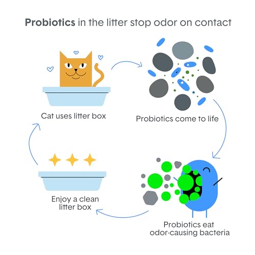 Boxie Probiotic Clumping Cat Litter 40+ Day Odor Control Dust Free 16 lb - size: 16 Lb
