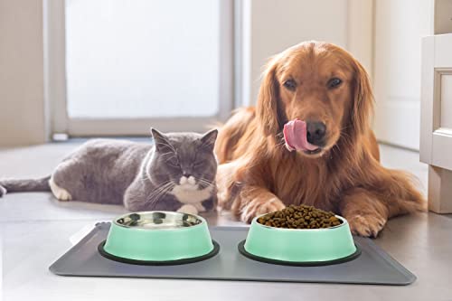 Stainless Steel Dog Bowls, Food and Water Non Slip Anti Skid Stackable Pet Puppy Dishes for Small, Medium and Large Dogs (2 Pack) - color: Aqua, size: 2¼ Cup/18 oz
