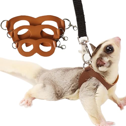 3 Pack Sugar Glider Harness and Leash Set Small Animal Training Walking Vest for Squirrel Hamster Rat-Brown - color: Brown