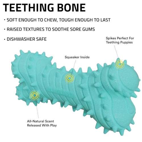 Playology Puppy Teething Bone Dog Chew Toy - Jumbo, Peanut Butter Scent | Great For Puppies and Young Dogs, Teeting Nubs Soothe Gums, Durable Rubber, Large Breed - size: Jumbo, style: Peanut Butter