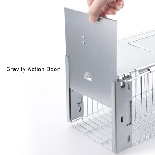Faicuk Heavy Duty Squirrel Trap Chipmunk Trap Rat Trap and Other Similar-Size Rodents - 16.3” x 6” x 6.7” | Chipmunk Trap, Rat Cage, and Fit for Other Similar Size Rodents - size: 16.3” x 6” x 6.7”