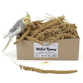 A&E Cage Co AE9055 Premium French Millet Spray, 5 lb Bulk Box Bird Treat | Grown in France, Natural Whole Sprays, Bulk Supply for Breeders & Multi-Bird Homes, Encourages Foraging - size: 5lbs
