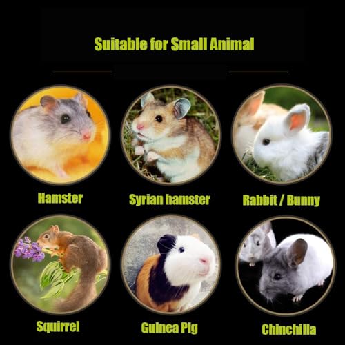 Hamiledyi Hamster Chew Toy Lava Teeth Grinding Square Stone for Hamsters Chinchillas and Rabbits Mineral Stone Calcium Chew Toy for Small Animal(Pack of 10) - size: 1.57 Inch Diameter