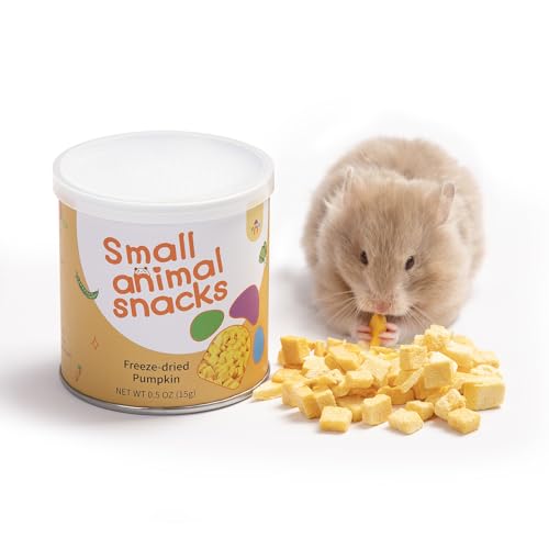 Niteangel Hamster Snack Treat Toy: Freeze-Dried Pumpkin & No Additive | Delivers Essential Vitamins & Minerals- Small Animal Natural Treat for Dwarf Syrian Hamsters Gerbils Mice Degus or Small Pets