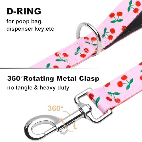 5ft Dog Leash with Two Padded Handles, Heavy Duty Strong Nylon Pet Leash with Soft Neoprene Handle for Small Medium Large Dogs, Cherry - color: Cherry, size: 1 in x 5 ft