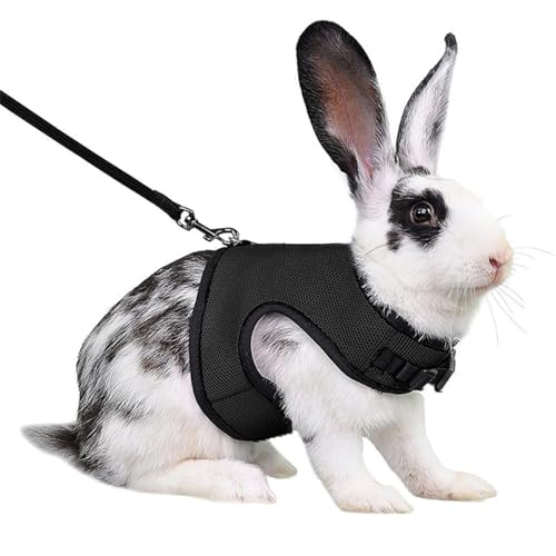 Rabbit Harness and Leash,Guinea Pig Escape Proof Bunny Harness and Leash Set, Cute Bunnies Vest Clothes Stuff Walking Ferret Kitten Puppy Small Pet Animals,Black M - color: Black, size: M Chest 7.2-10",For Mini Rabbit