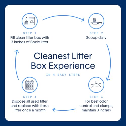Boxie® Probiotic 40 Day Natural Odor Control Cat Litter, 16lb Clumping Clay Kitty Litter (Pack of 2) - size: 16 Lb (Pack of 2)
