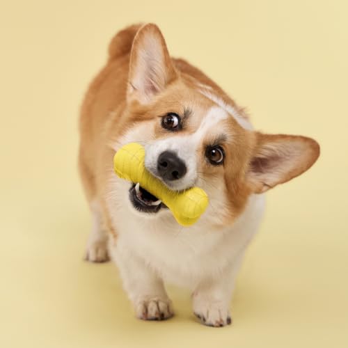 Playology Dual Layer Bone Dog Chew Toy - Medium, Chicken Scent, 2-Pk | Rubber Construction, All Natural Scent, Heavy Duty Design - size: Medium (VALUE 2-Pack), style: Chicken